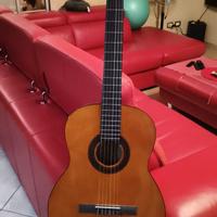 Chitarra Eko