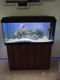 acquario 330l