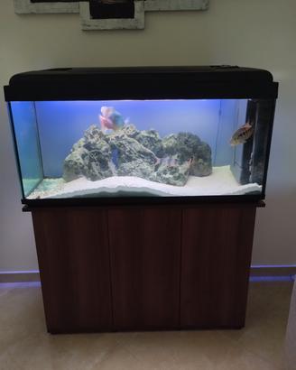 acquario 330l