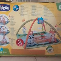 PALESTRINA  DELLA CHICCO