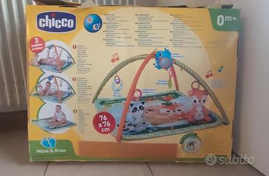 PALESTRINA  DELLA CHICCO