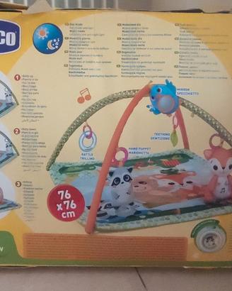 PALESTRINA  DELLA CHICCO