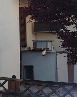 Cuccia per cane grande o di taglia media