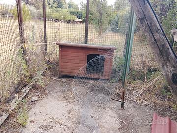 cuccia cane