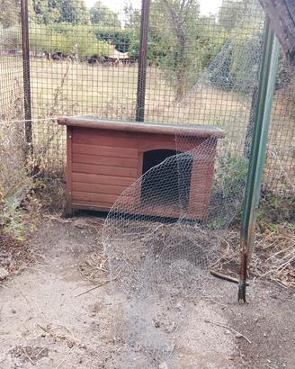 cuccia cane