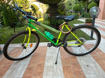 Bicicletta