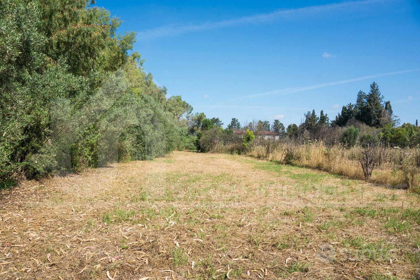 Monastir terreno agricolo con pozzo e elettricità - Vista 2