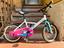 Immagine 1