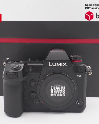 Panasonic S1