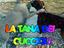 Immagine 5