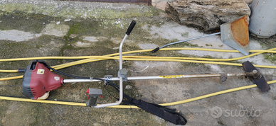 DECESPUGLIATORE tagliabordi tagliaerba