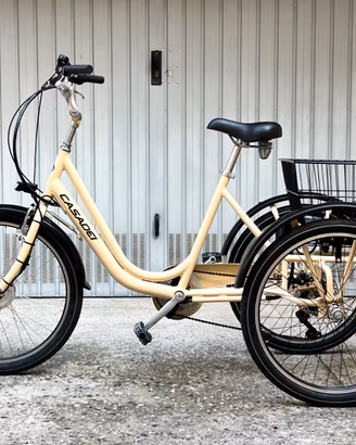Bici 3 ruote - Triclo pedalata assistita