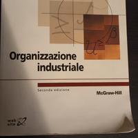 Organizzazione industriale 