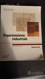Organizzazione industriale 