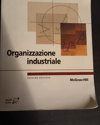 Organizzazione industriale 