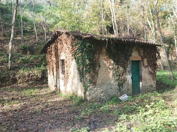 Terreno agricolo con rudere corese terra