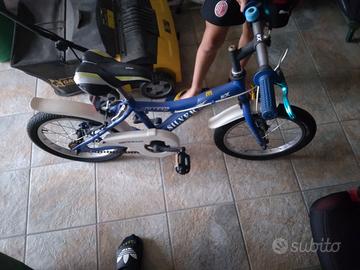 Bicicletta bimbo
