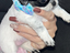 Immagine 1