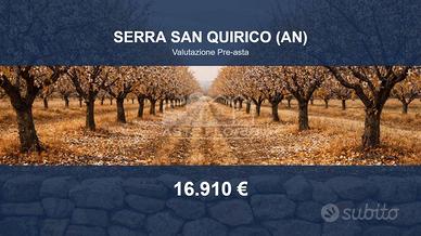 Immobile in asta di 42298 m² a Serra San Quirico
