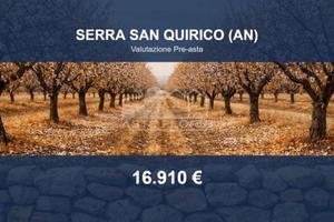Immobile in asta di 42298 m² a Serra San Quirico