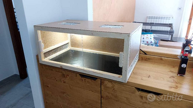 Terrario Teca Rettilario Pogone Pitone