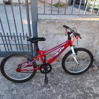 bicicletta 20" Denver Young Adult  ISO 4210-2 y