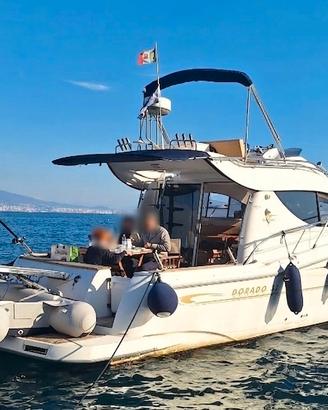 Sessa Dorado 32 - 36