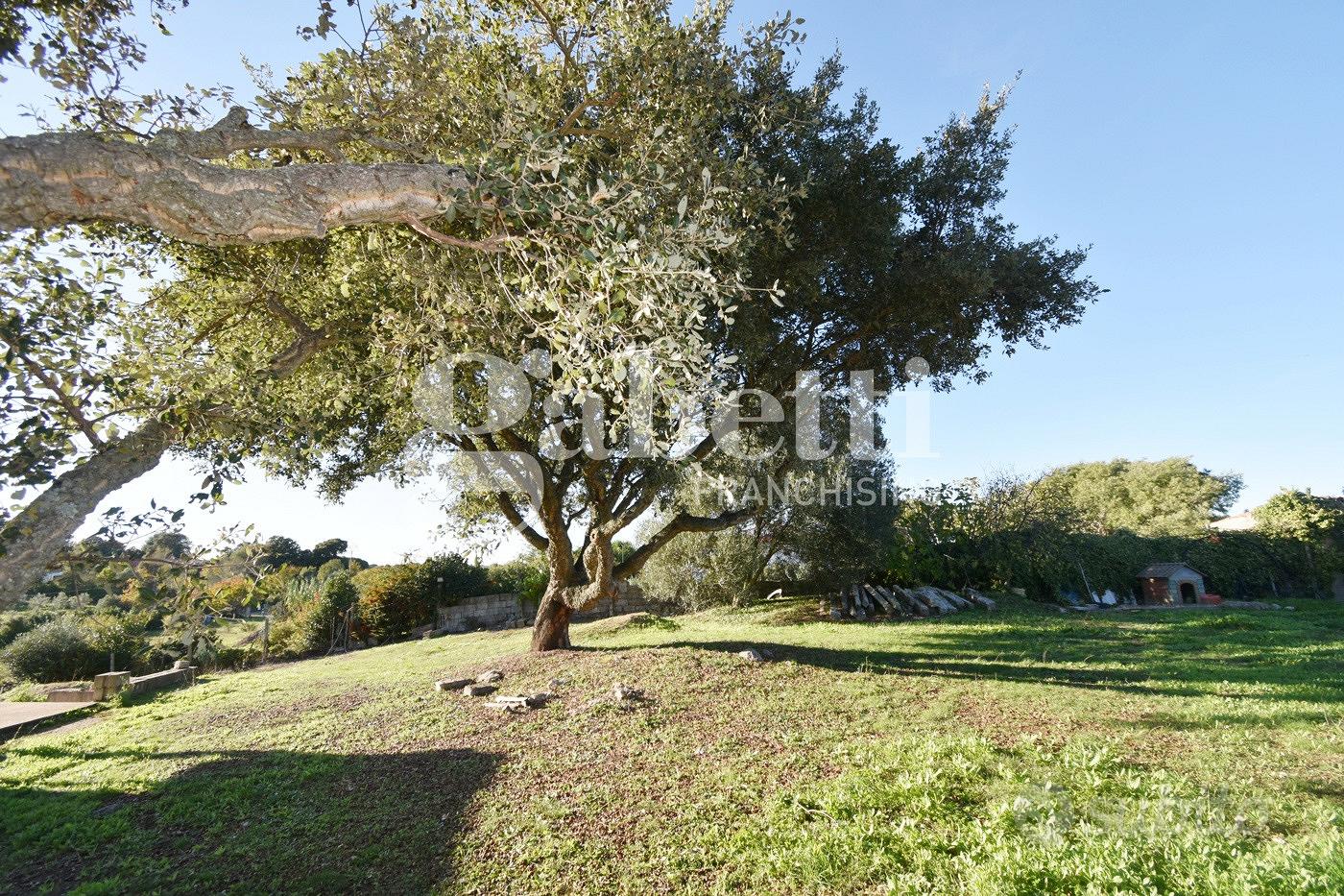 Rustico/Casale/Corte Tempio Pausania - Altro