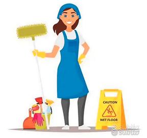 Pulizie domestiche a Pavia città