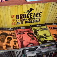 Bruce lee e il grande cinema delle arti marziali