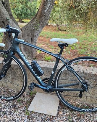Specialized Donna