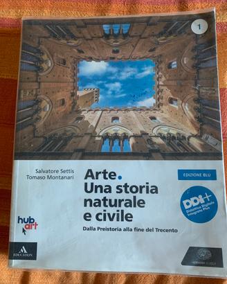 Arte: una storia naturale e civile