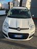 fiat-panda