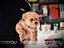 Immagine 22