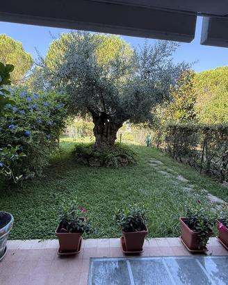 Villetta quadrifamiliare Grosseto