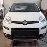 New Panda ibrid