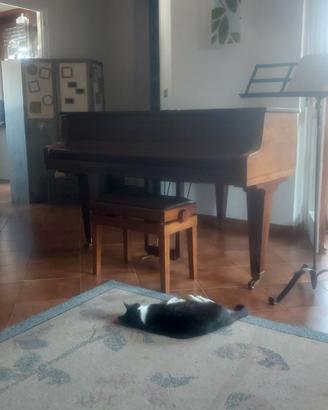 Pianoforte SCHIMMEL