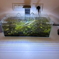 Acquario 25 lt completo