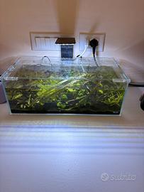 Acquario 25 lt completo