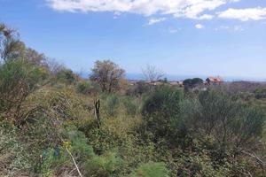 Rif.RD38| terreno agricolo aci sant'antonio