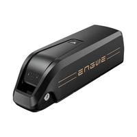 Engwe M20 Battery