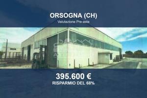 Immobile in asta di 17381 m² a Orsogna