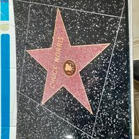 C.NORRIS / B.LEE STAR FOTO