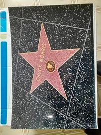 C.NORRIS / B.LEE STAR FOTO