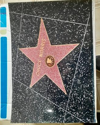 C.NORRIS / B.LEE STAR FOTO