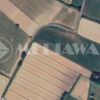 Seminativo a Annone Veneto