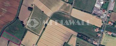 Seminativo a Annone Veneto