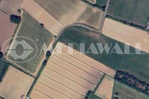 Seminativo a Annone Veneto