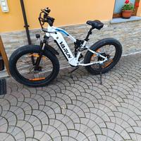 bicicletta elettrica 