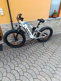 bicicletta elettrica 